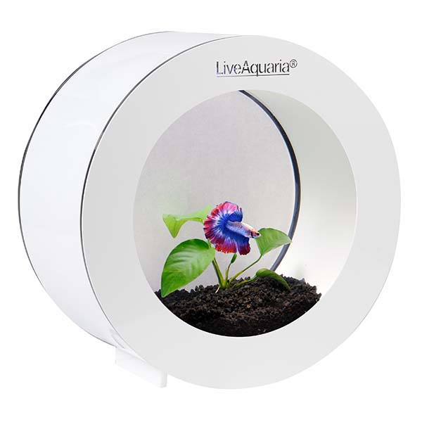 LiveAquaria® Betta Aquarium Kit Orbi White LiveAquaria® Betta Aquarium Kit Orbi White